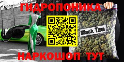 шишки Заводоуковск