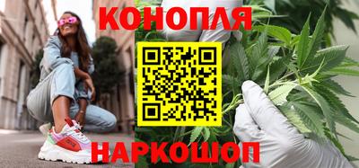 шишки Заводоуковск