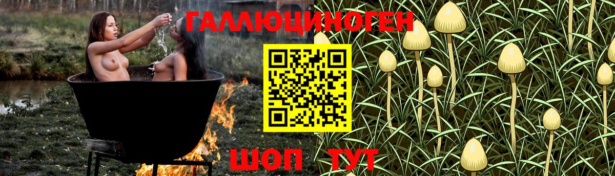 Лесной  Псилоцибиновые грибы прущие грибы  где купить наркоту  Вход с VPN 